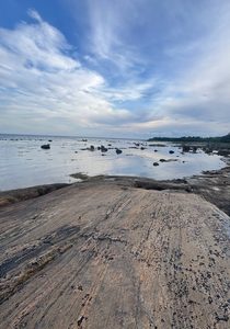 О доверии и приоритетах